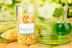 Britain Bottom biofuel availability